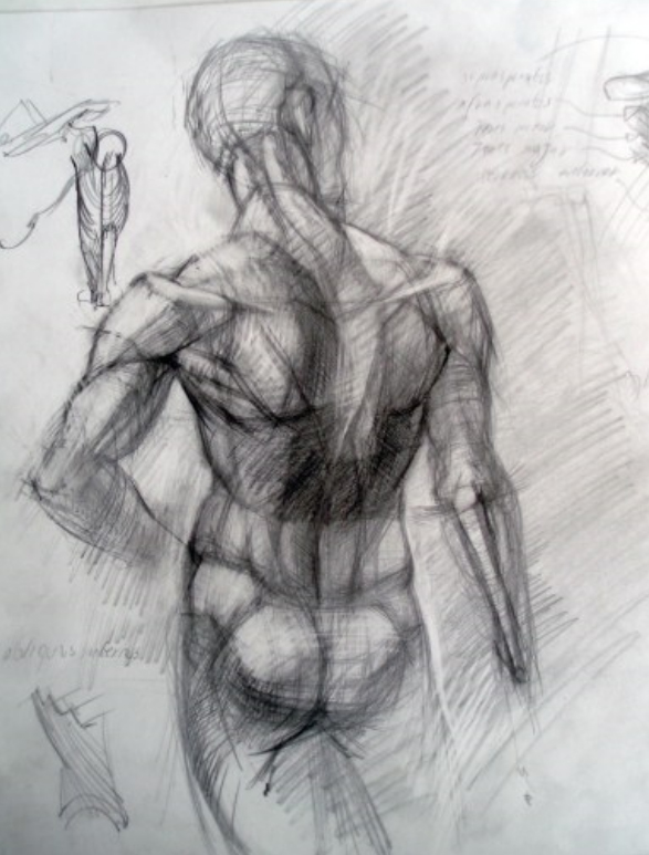sketch