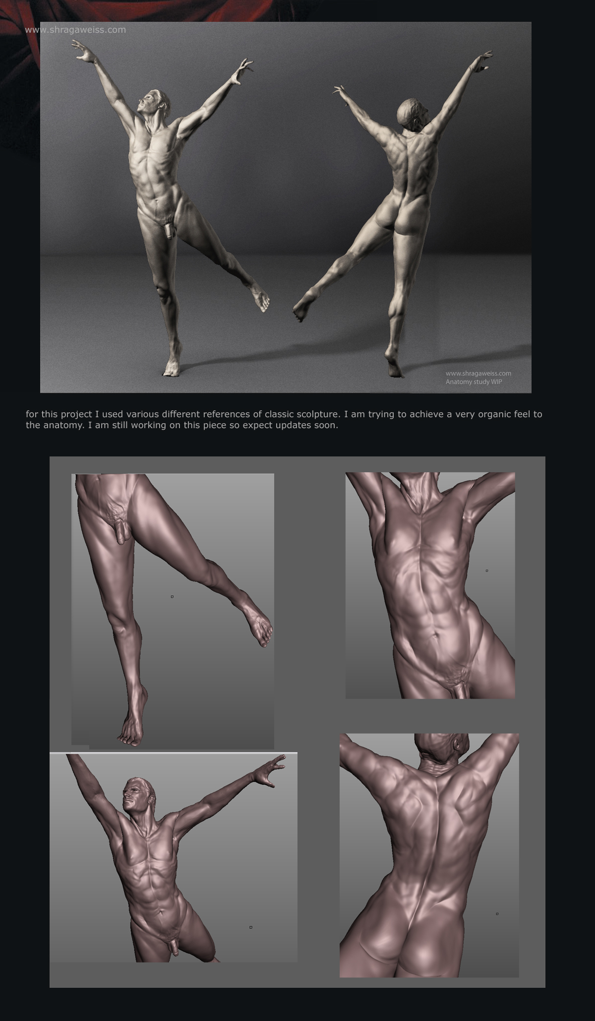 anatomyCompilation
