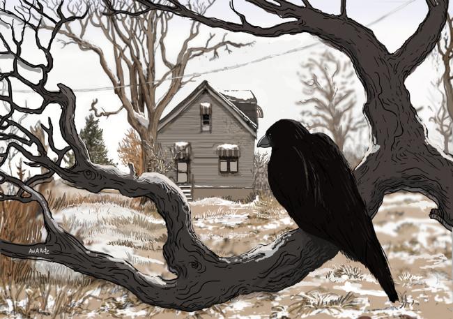 crows-small