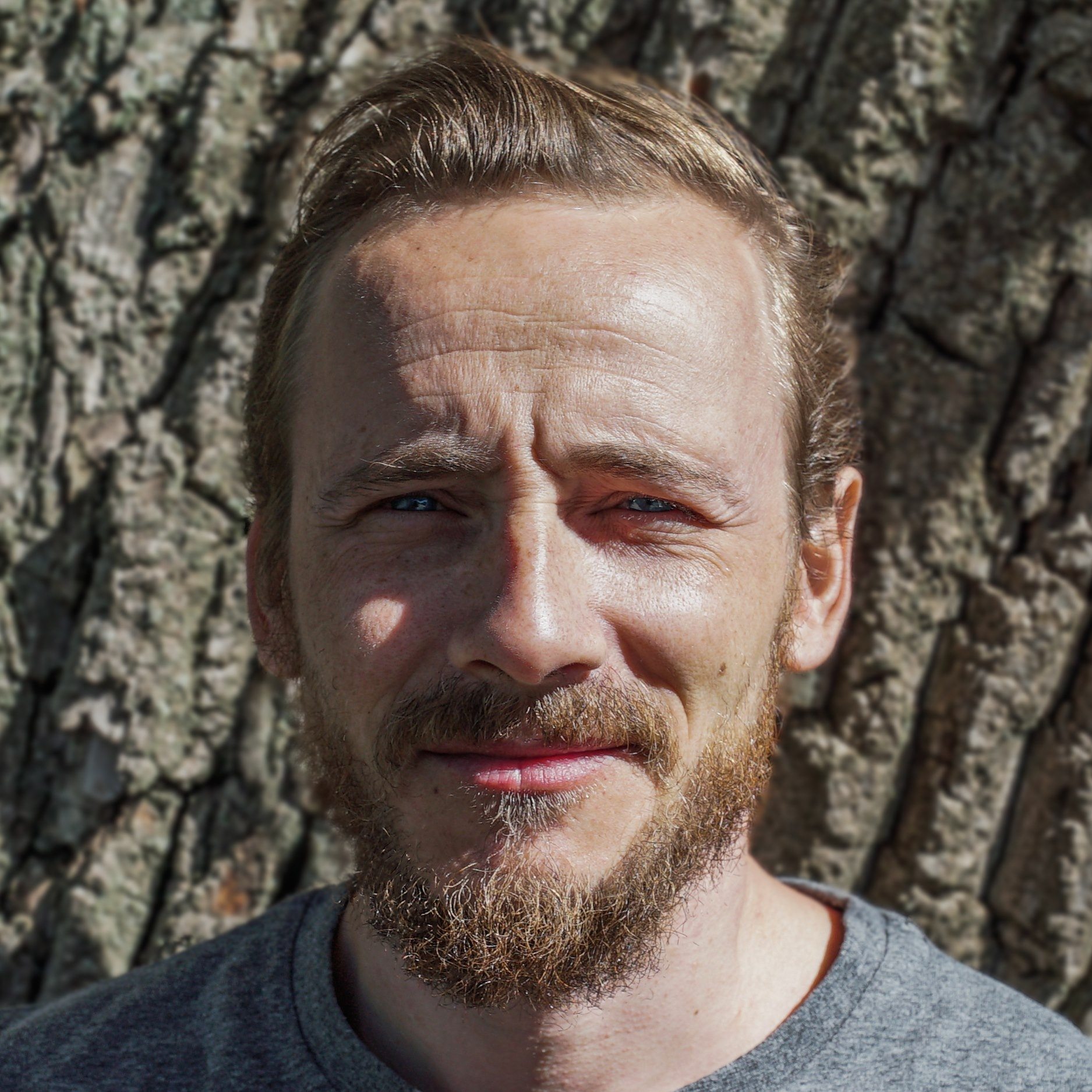 denis vlashchenco